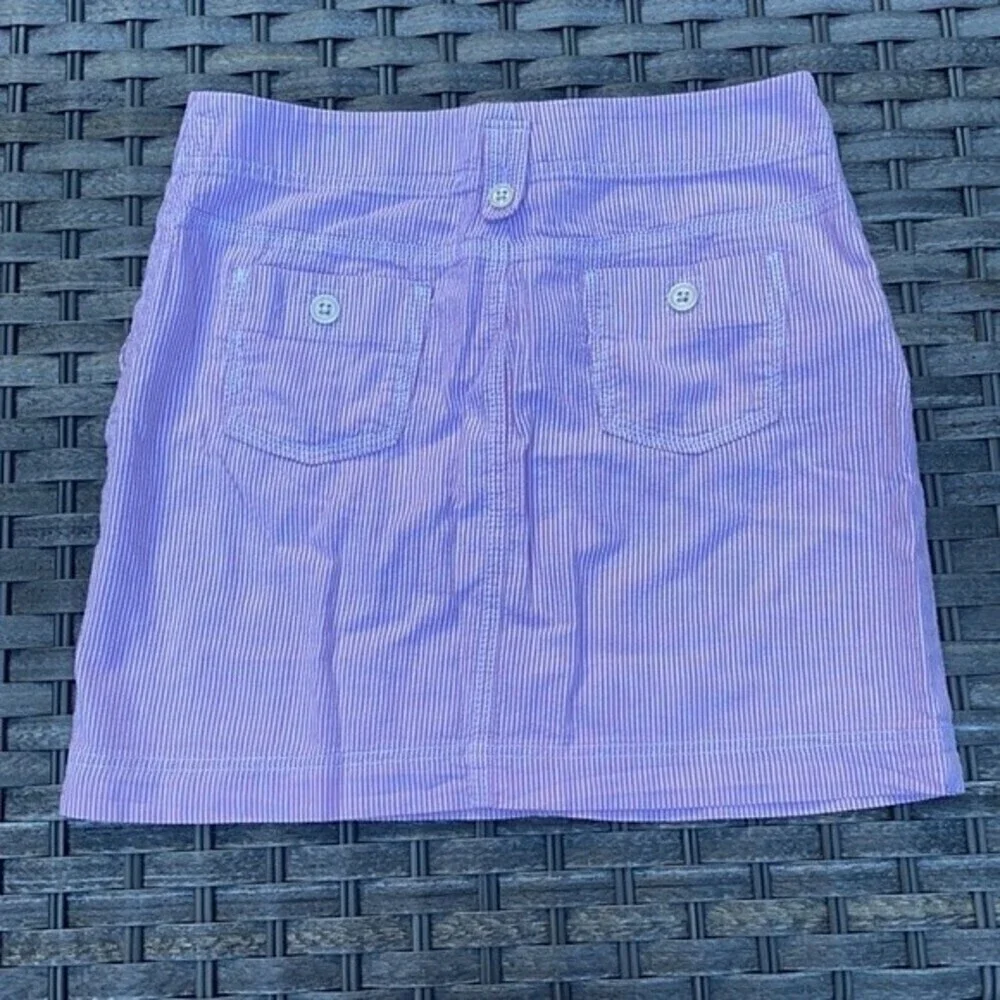 Loft Pink Seersucker Skirt - Picture 11 of 14